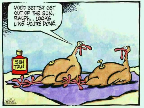Turkey Cartoon!
