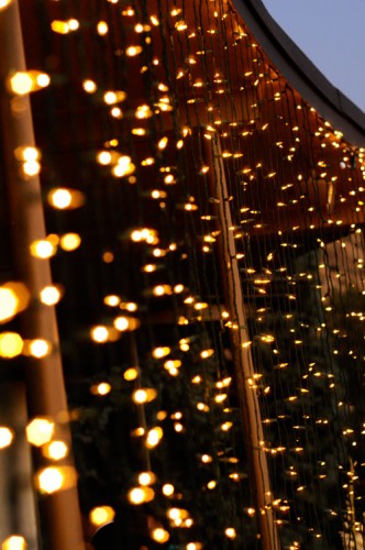 Twinkle Lights Everywhere!